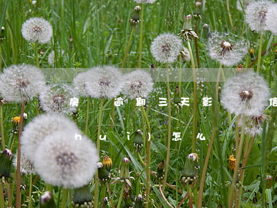 房貸逾期三天影響佂信嗎(房貸逾期3天會(huì)怎么樣)