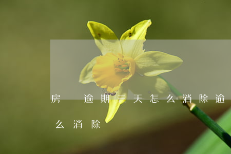 房貸逾期三天怎么消除（逾期房款13個月怎么消除）