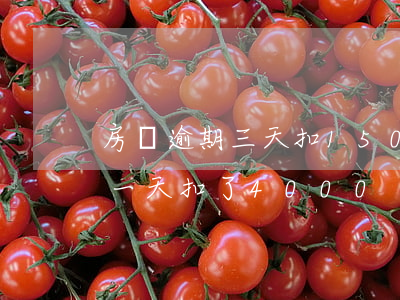 房貸逾期三天扣1500(房貸2000逾期一天扣了4000)