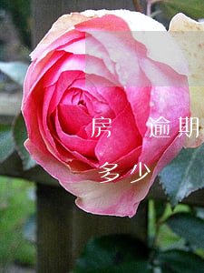 房貸逾期三天罰息多少6(房貸逾期5天罰息多少)