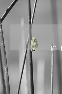 房貸逾期三天還款怎么辦(房貸逾期三天)