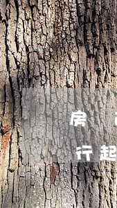 房貸逾期三年了銀行起訴(房貸逾期三年了銀行起訴)