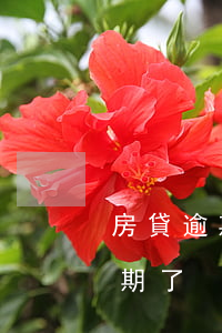 房貸逾期三年怎么算利息(貸款利息幾天算逾期了)