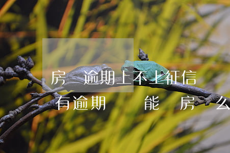 房貸逾期上不上征信記錄(個(gè)人征信有逾期記錄能辦房貸么)