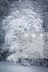 房貸逾期上征信嘛(房貸逾期上征信嗎)