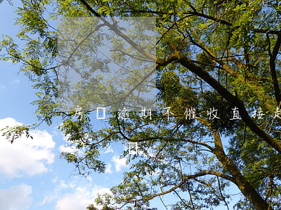 房貸逾期不催收直接起訴(房貸逾期銀行起訴怎么辦)