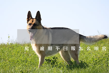 房貸逾期不回報怎么辦 房貸逾期無力償還