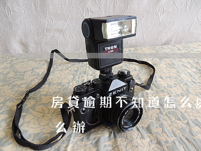 房貸逾期不知道怎么處理(房貸如果逾期了怎么辦)