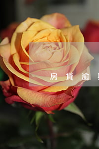 房貸逾期不還(房貸逾期不還會坐牢嗎)