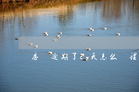 房貸逾期了2天怎么處理(房貸逾期兩天)