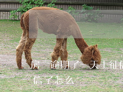 房貸逾期了一天上征信了(貸款逾期一天上征信了怎么辦)