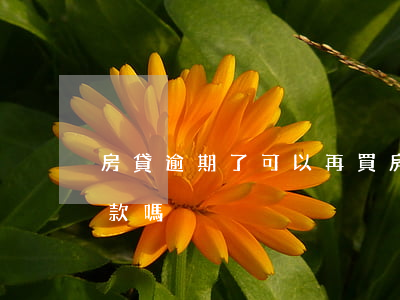 房貸逾期了可以再買房嘛(房貸逾期了還能貸款嗎)