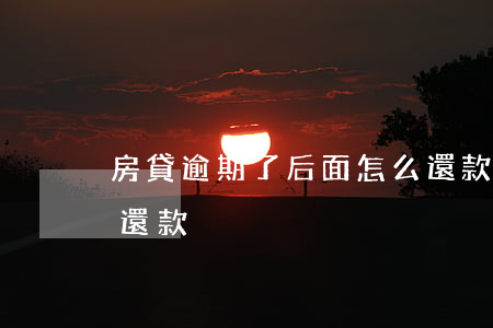 房貸逾期了后面怎么還款(房貸逾期以后怎么還款)