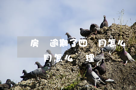 房貸逾期了四個月怎么處理好（房貸逾期了四個月怎么處理）