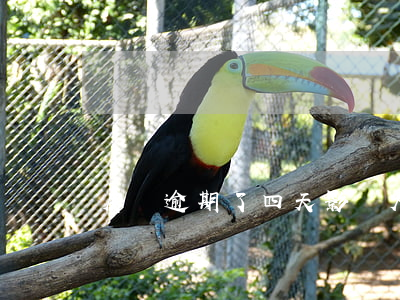 房貸逾期了四天影響大嗎