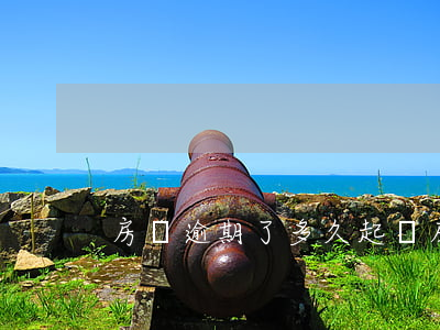 房貸逾期了多久起訴(房貸逾期幾個月被起訴)