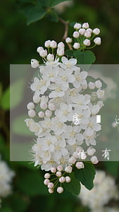 房貸逾期了對(duì)信用卡有影響嗎(征信有一個(gè)信用卡逾期影響房貸嗎)