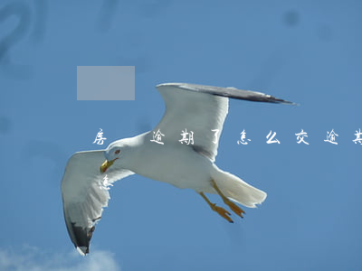房貸逾期了怎么交(逾期交房貸會(huì)怎樣)