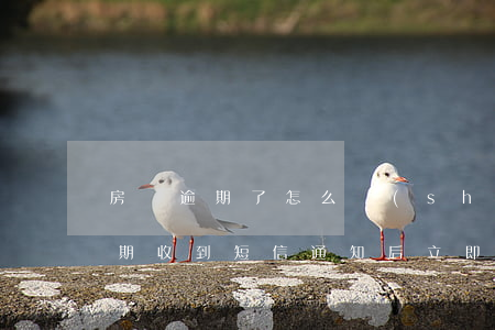 房貸逾期了怎么時(shí)候通知(房貸逾期收到短信通知后立即還款)