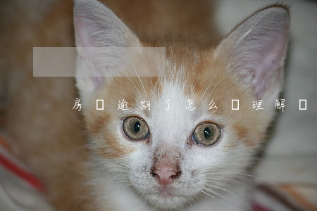 房貸逾期了怎么辦理解壓(房貸完成如何解壓)