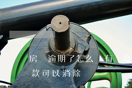 房貸逾期了怎么還有額度(房貸有幾次逾期還款可以消除嗎)
