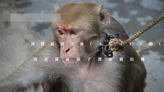 房貸逾期了會(huì)下個(gè)月還嗎(房貸逾期了還能貸款嗎)