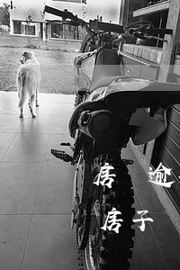 房貸逾期了會拍賣房子嗎(房貸逾期了會拍賣房子嗎)