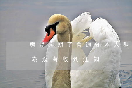 房貸逾期了會通知本人嗎(如果房貸逾期是因為沒有收到通知)