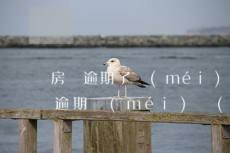 房貸逾期了沒(méi)錢(qián)還(逾期沒(méi)錢(qián)還款怎么辦)
