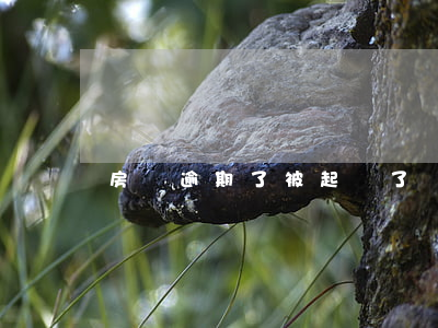 房貸逾期了被起訴了會(huì)通知嘛