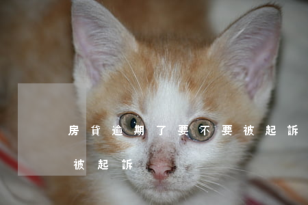 房貸逾期了要不要被起訴(房貸逾期了要不要被起訴)