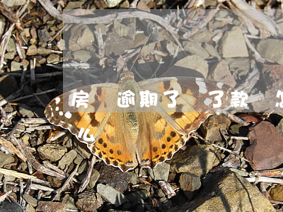 房貸逾期了還了款會怎樣(房貸逾期了自己怎么還)