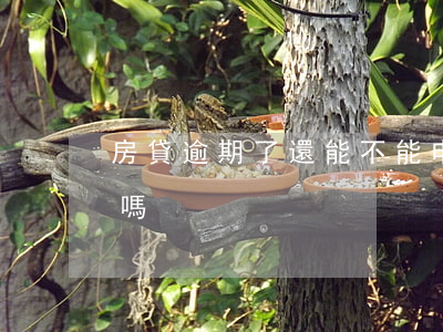 房貸逾期了還能不能申請(房貸逾期可以申訴嗎)
