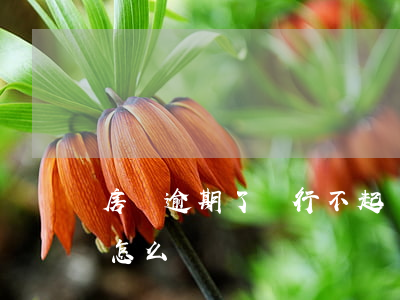 房貸逾期了銀行不起訴(房貸逾期銀行起訴了怎么辦)