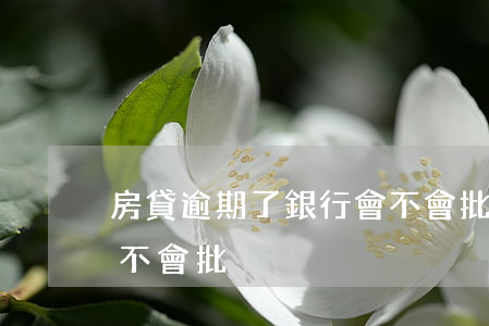 房貸逾期了銀行會不會批(房貸逾期了銀行會不會批)