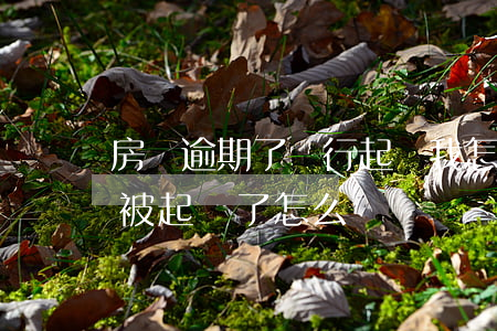 房貸逾期了銀行起訴我怎么辦 銀行房貸逾期被起訴了怎么辦
