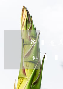 房貸逾期二個月會起訴嗎(房貸逾期二個月會起訴嗎)