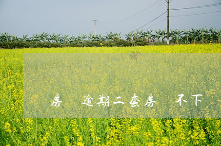 房貸逾期二套房貸不下來(房貸逾期兩年怎么辦)