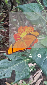 房貸逾期五個(gè)月-房貸逾期五個(gè)月銀行催款,能協(xié)商嗎