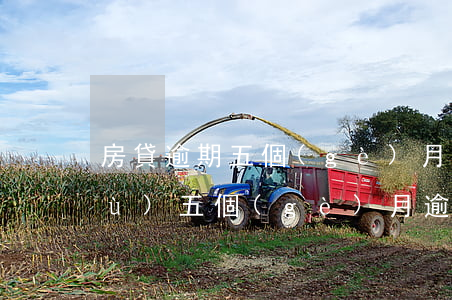 房貸逾期五個(gè)月要求全款(連續(xù)五個(gè)月逾期還能做房貸嗎)