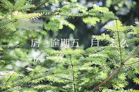 房貸逾期五個月會怎么樣(逾期5個月影響買房貸款嗎)