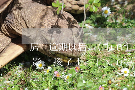 房貸逾期以后會(huì)不會(huì)影響孩子上學(xué)(貸款逾期后會(huì)影響孩子上學(xué)嗎)