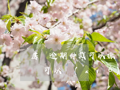 房貸逾期仲裁可以撤訴嗎(房屋貸款逾期被起訴可以協(xié)商解決嗎)
