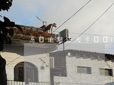 房貸逾期信用卡凍結(jié)如何解凍