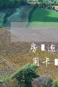 房貸逾期信用卡凍結(jié)(房貸逾期信用卡凍結(jié))