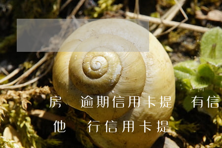 房貸逾期信用卡提額 有信用卡逾期會影響其他銀行信用卡提額嗎