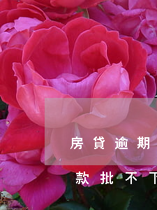 房貸逾期信用卡辦不下來(信用卡逾期買房貸款批不下來怎么辦)