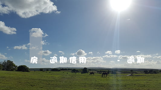 房貸逾期信用記錄嗎-逾期記錄 房貸