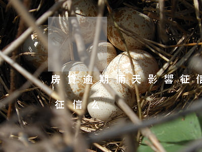 房貸逾期倆天影響征信么(房貸逾期倆天影響征信么)