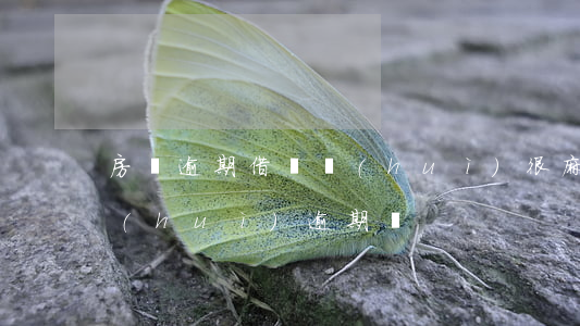 房貸逾期借貸會(huì)很麻煩么(房貸會(huì)逾期嗎)